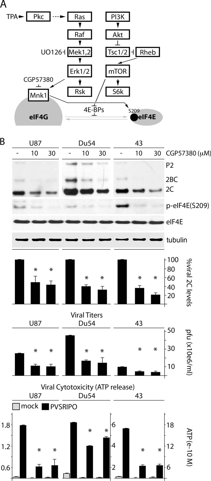 FIG 2