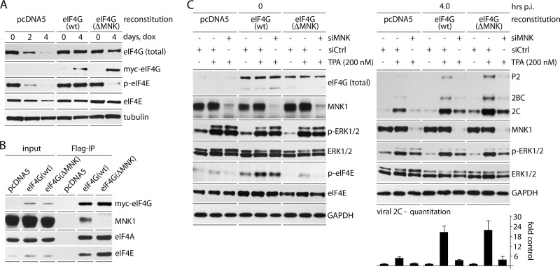 FIG 6