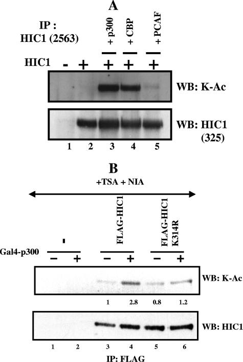 FIG. 7.