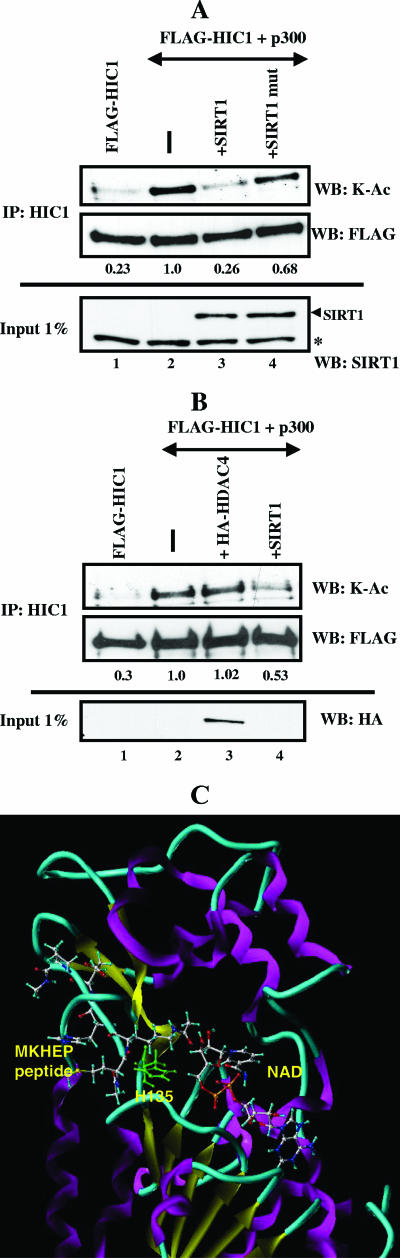 FIG. 9.