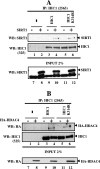 FIG. 8.