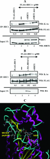 FIG. 9.