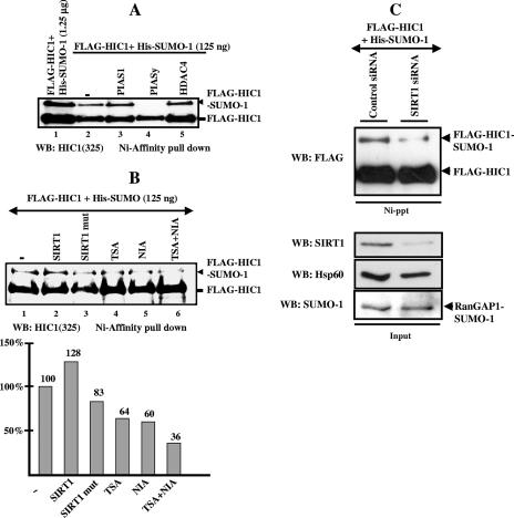 FIG. 10.