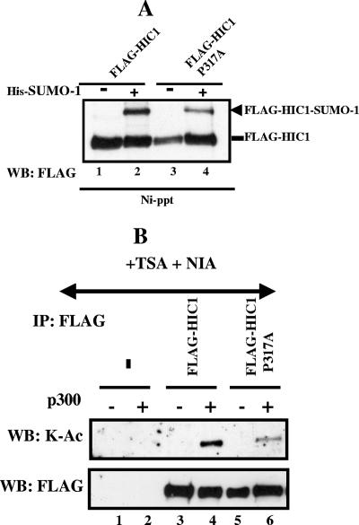 FIG. 12.