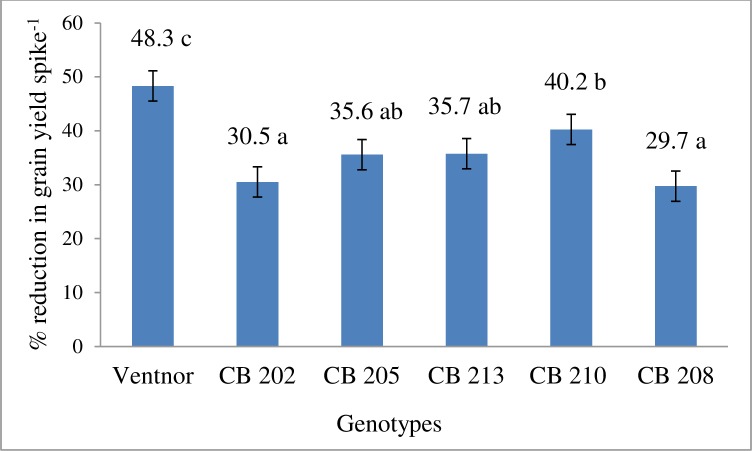 Fig 4