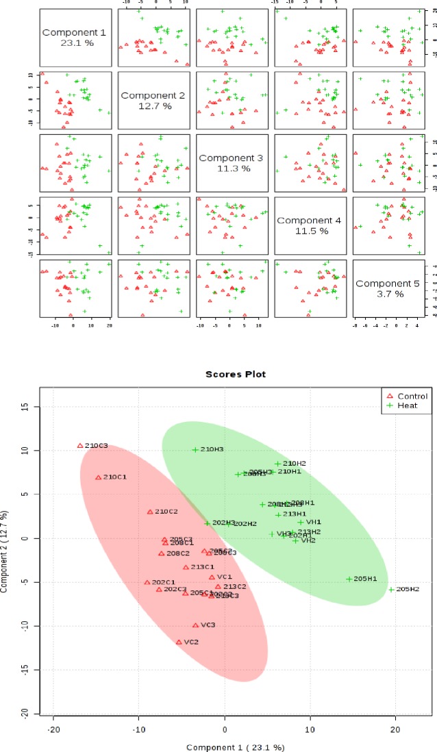 Fig 6