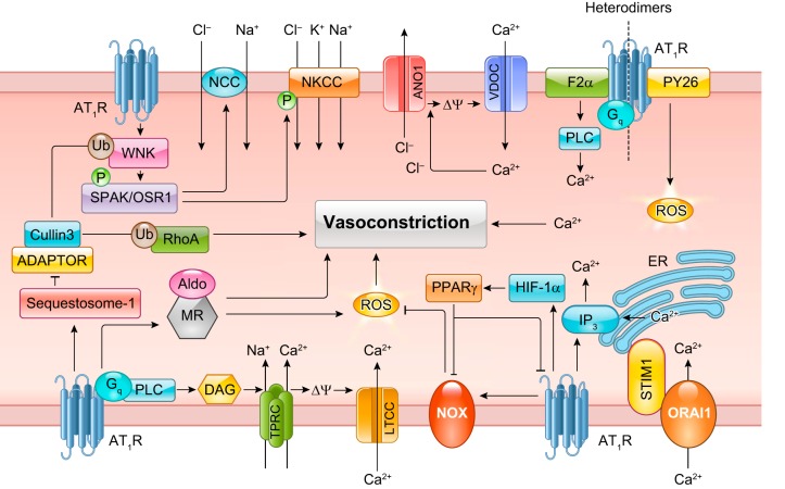 FIGURE 4.