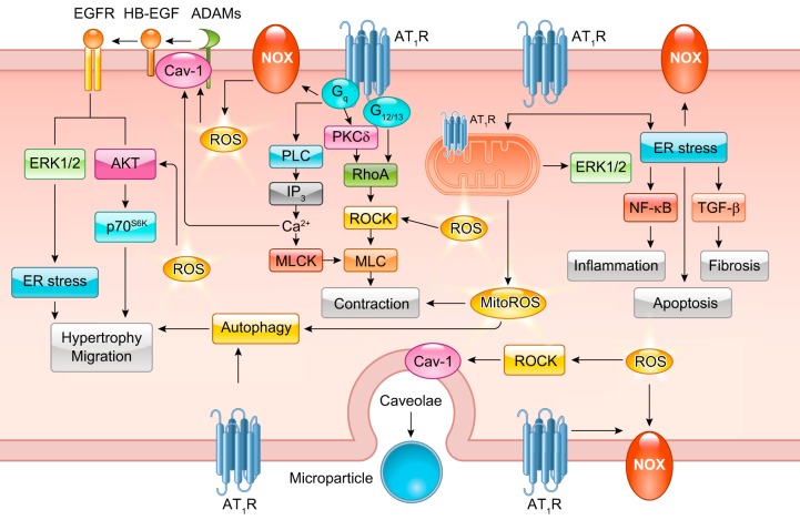 FIGURE 3.