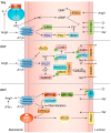 FIGURE 10.