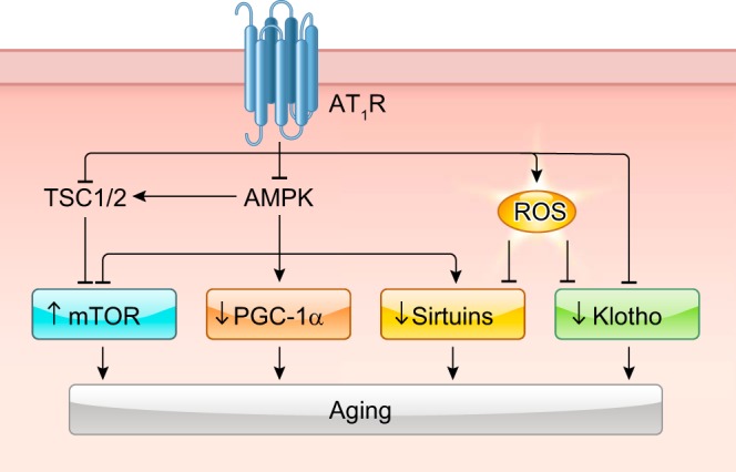 FIGURE 13.