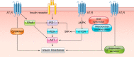 FIGURE 12.