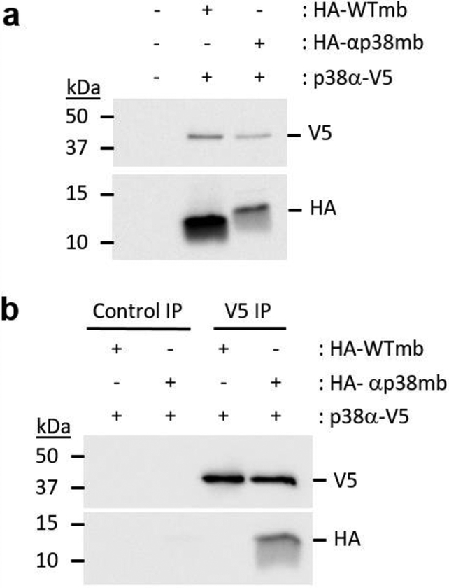 Figure 6: