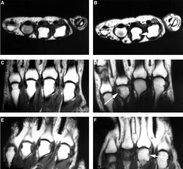 Figure 3  