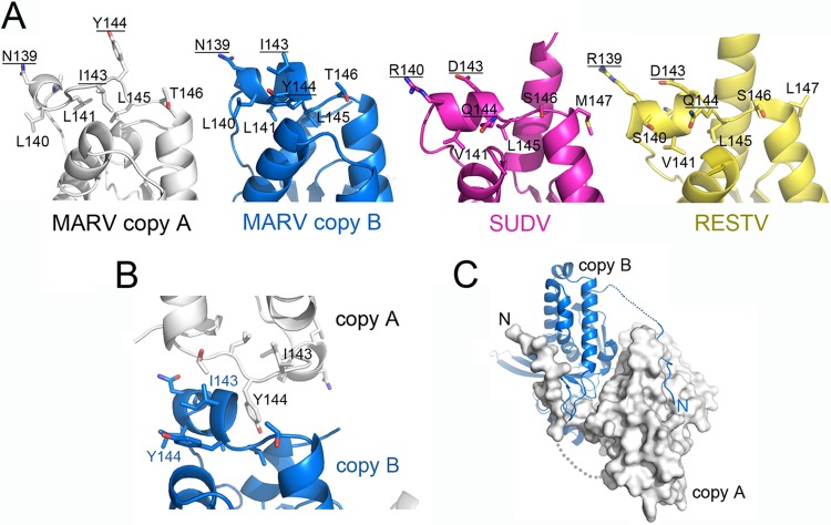 FIG 3