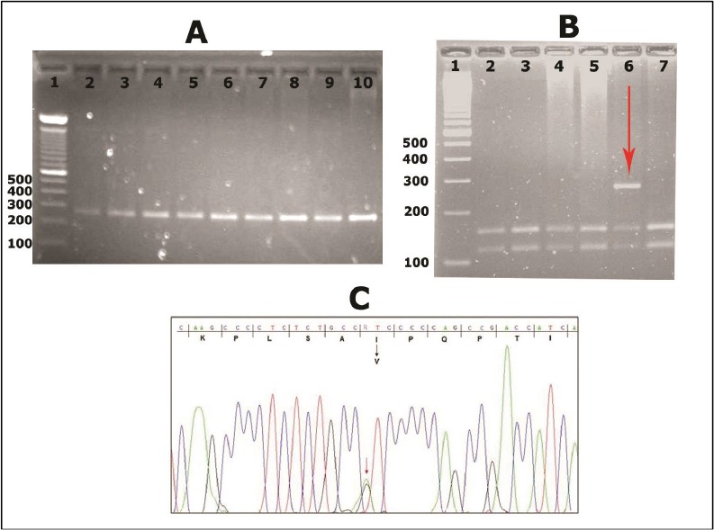 Fig. 1: