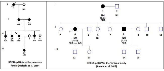 Fig. 2: