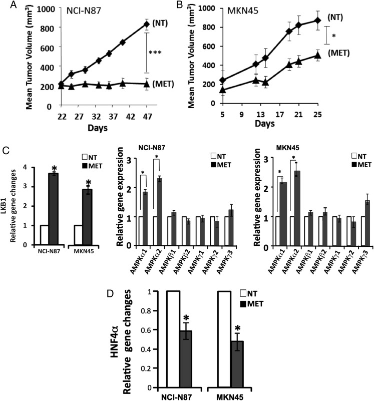 Figure 7