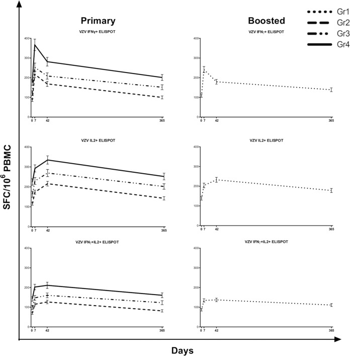 FIG 1