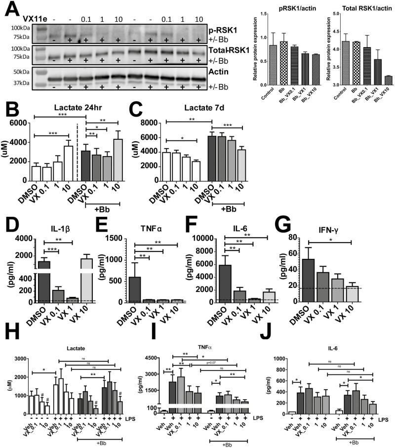 Figure 3: