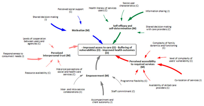 Consumer-level programme theory model