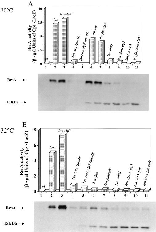 FIG. 5.