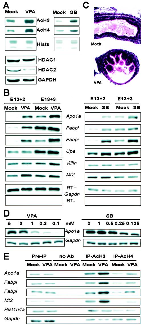 FIG. 4.