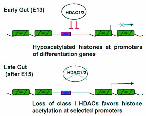 FIG. 6.