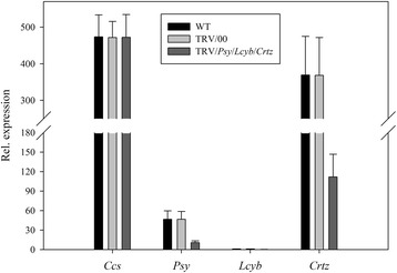 Figure 13