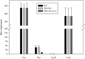 Figure 12