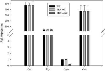 Figure 10