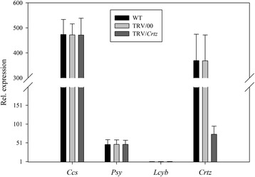 Figure 11