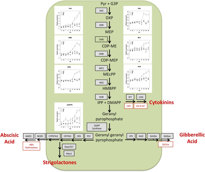 Figure 6.