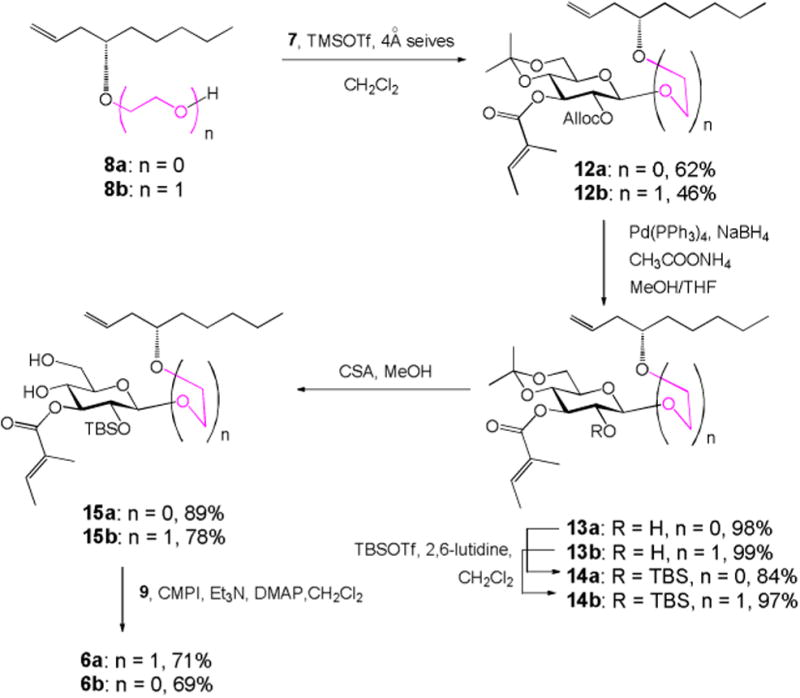 Scheme 3