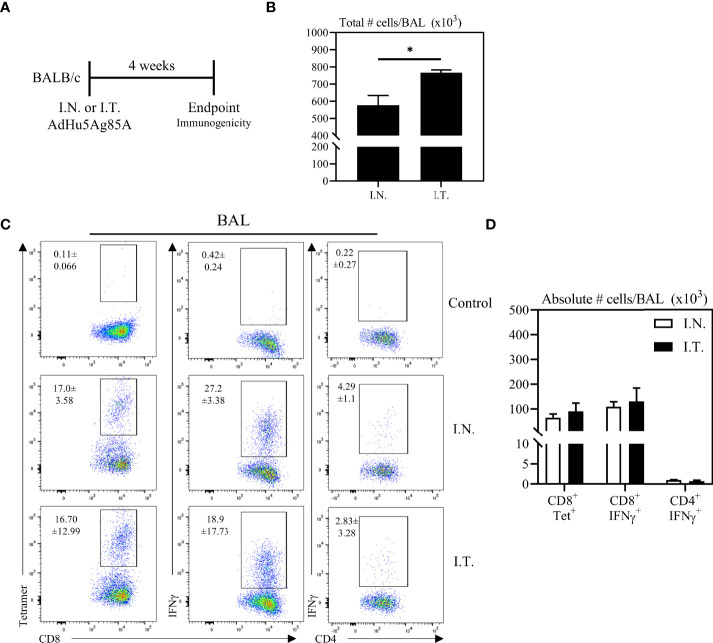 Figure 3