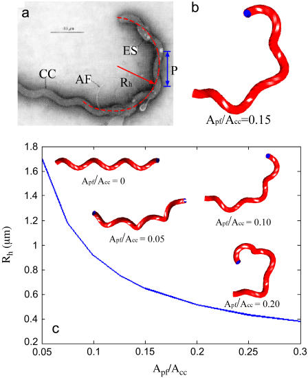 FIGURE 2