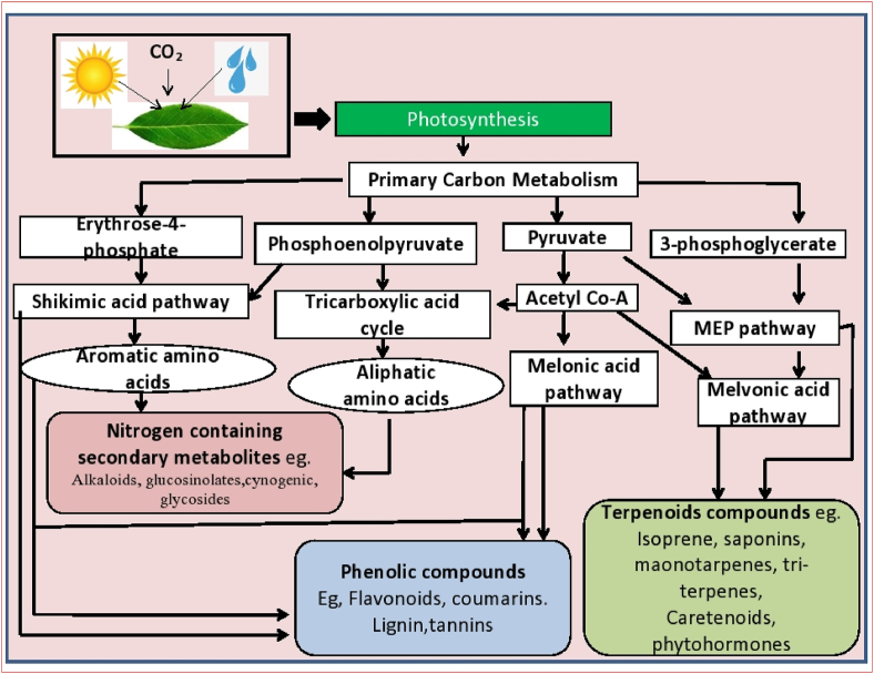 Figure 1