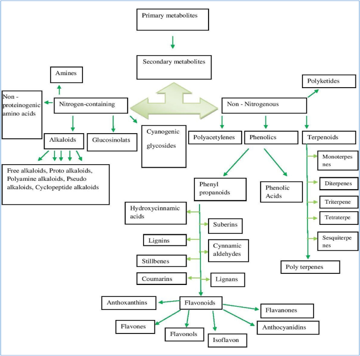 Figure 2