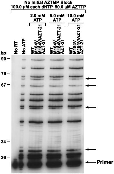 FIG. 8.