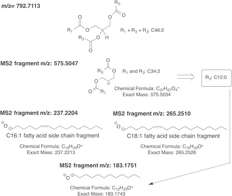 Figure S4