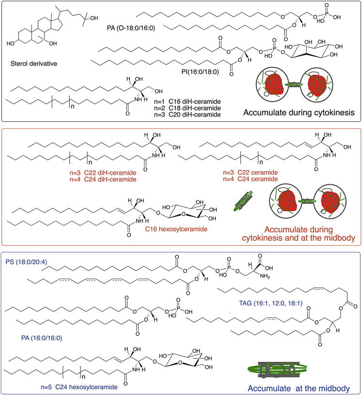 Figure 1