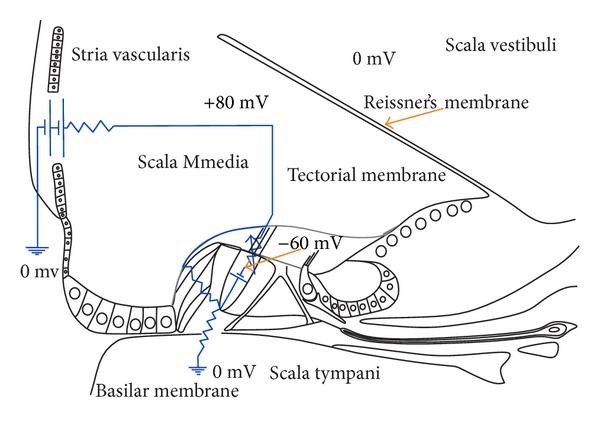 Figure 27