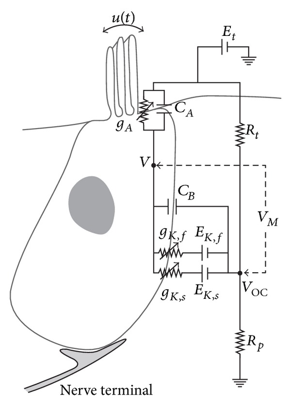 Figure 32