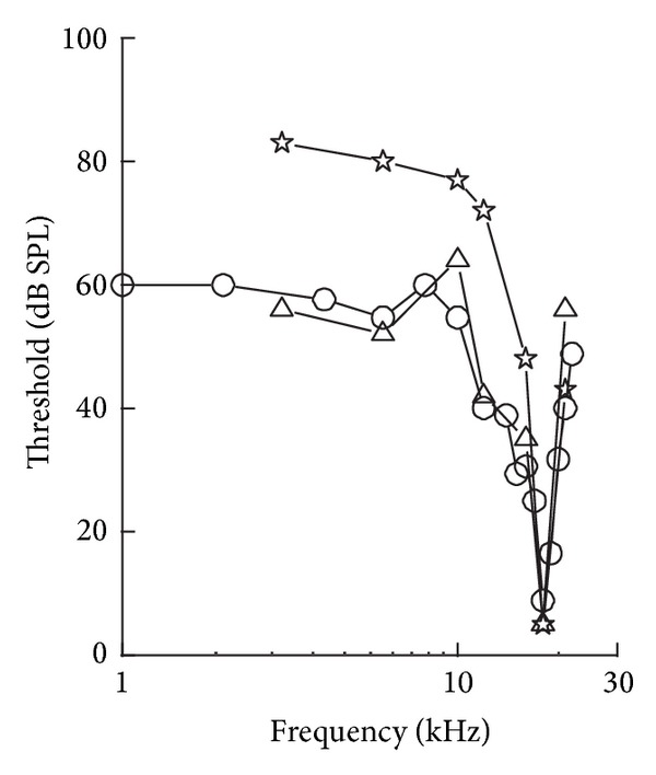 Figure 33