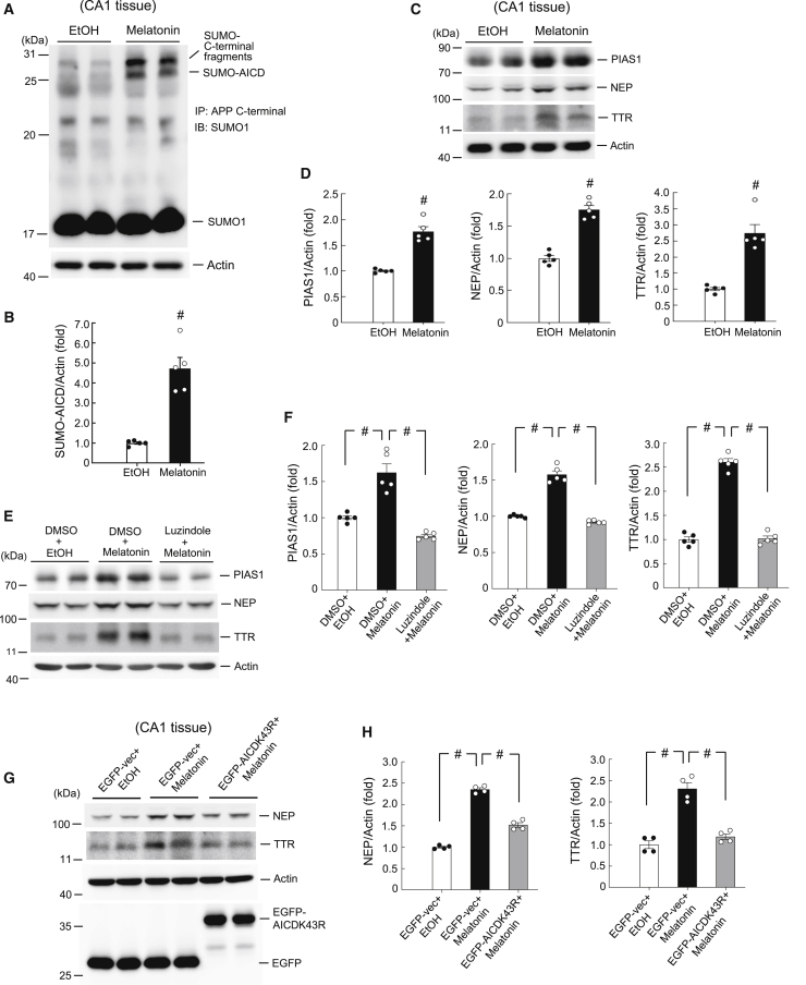 Figure 6