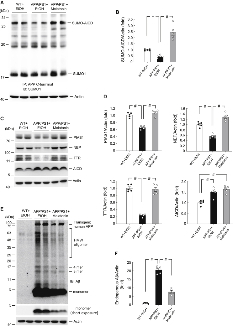 Figure 7