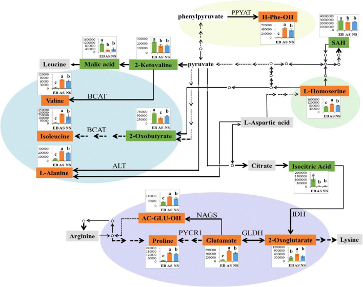 FIGURE 10