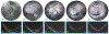 Fig. 8