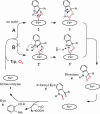 Fig. 6.