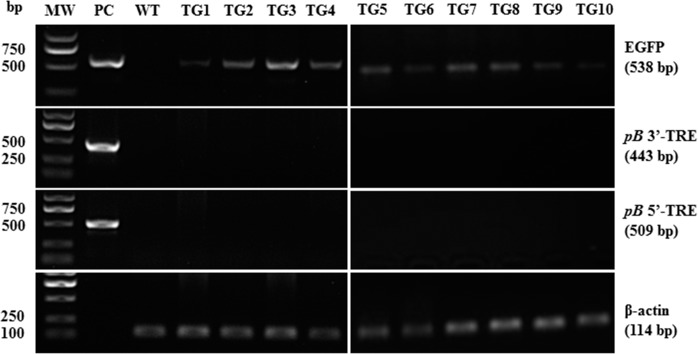 FIG. 7