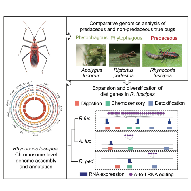 graphic file with name fx1.jpg